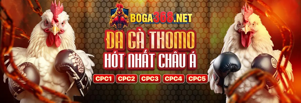 Đá gà kịch tính tại 6623aaa nhà cái